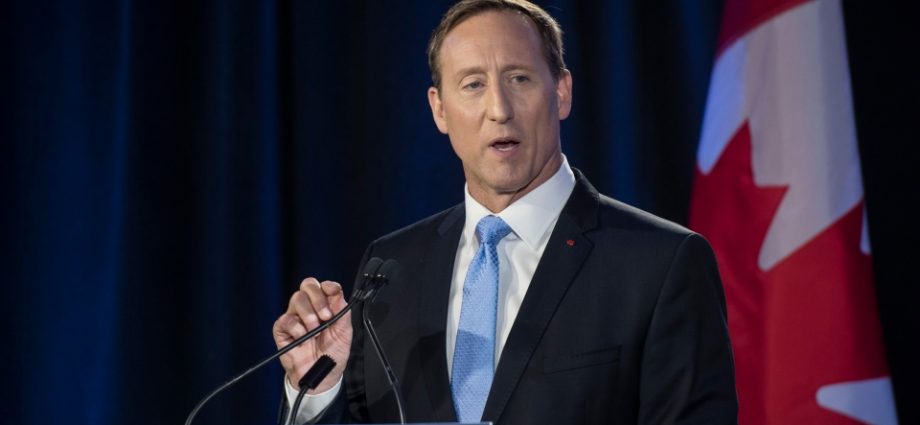 Peter MacKay