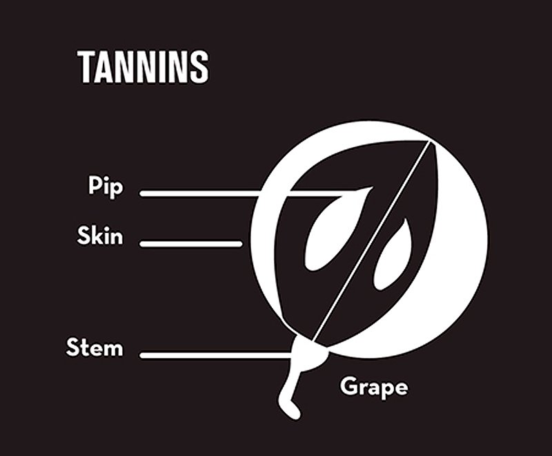 tannins