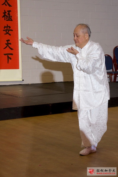 4. Master Wong Demonstration.jpg