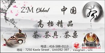 zmglobal-website-banner-2-1.jpg