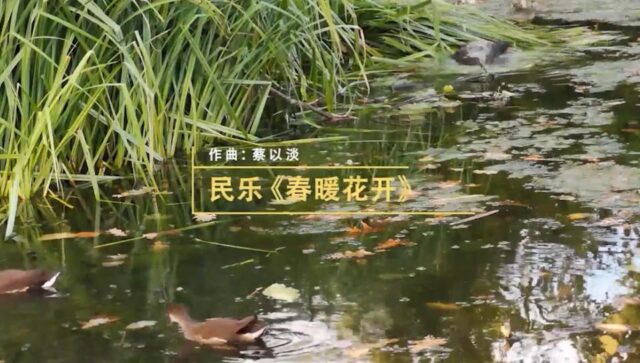 25 民乐《春暖花开》