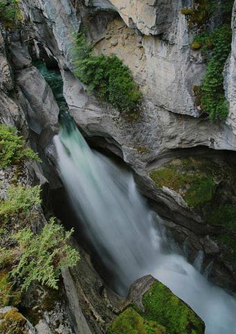 Maligne Canyon: Discover the Deepest Canyon in the Rockies