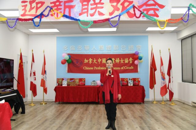 A person standing in front of a stage with flags

Description automatically generated with low confidence