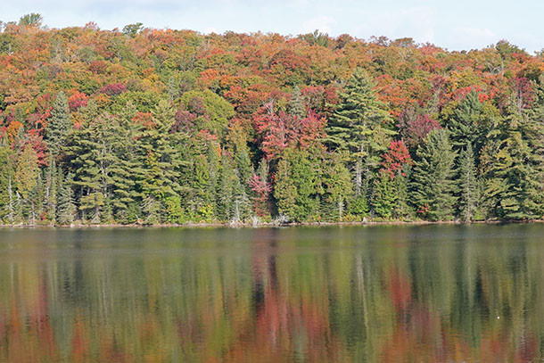 Tea Lake along Highway 60 in Algonquin Park on September 22, 2023