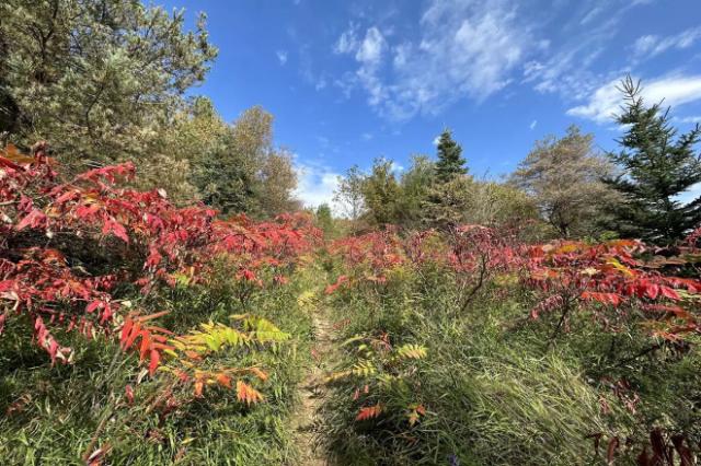 boyne valley provincial park