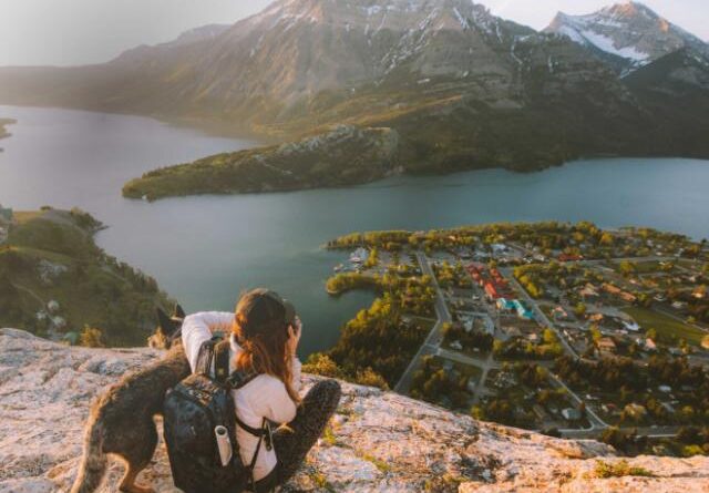 A person sitting on a ridge with their dog is taking a photo of the view from the top.