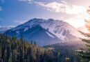 Protection - Nature Canada