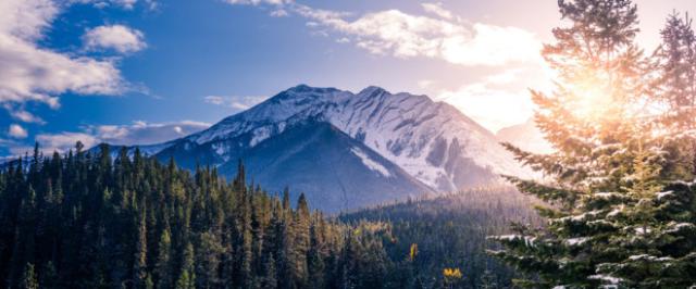 Protection - Nature Canada