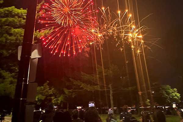 People watching fireworks at night in a park.